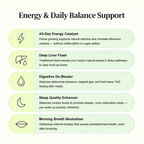 Liver Detox & Vitality Boost Tea