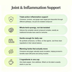 Anti-Inflammatory & Immunity Tea