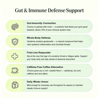 Immune Shield Tea